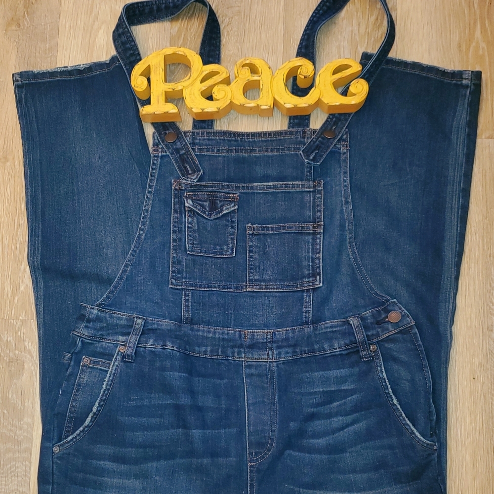 Free People Bibbed Overalls Size 29 Good Condition